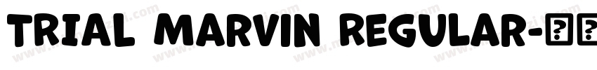 TRIAL Marvin Regular字体转换
